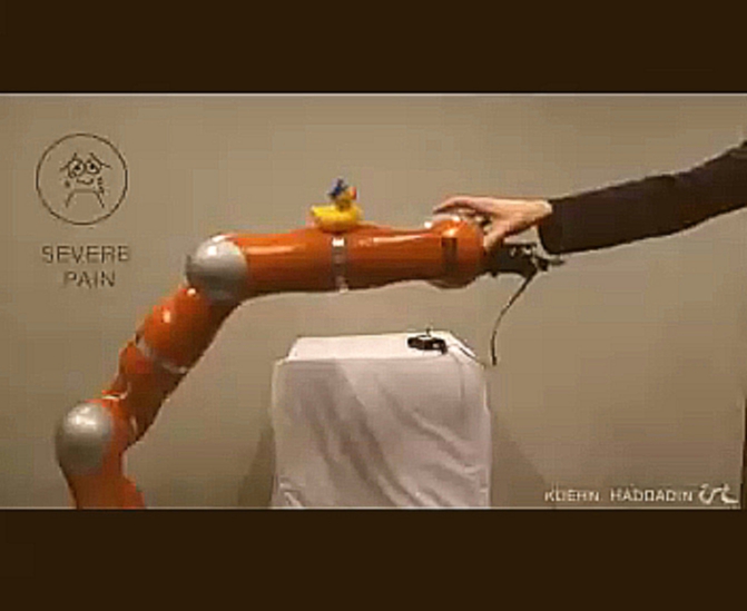 Разработана «нервная система» для роботов 