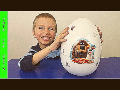Большое яйцо с сюрпризом Игрушки Тайная жизнь домашних животных Киндер сюрприз 