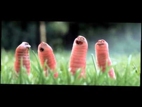 Смешная короткометражка "Мультик про червячков" 