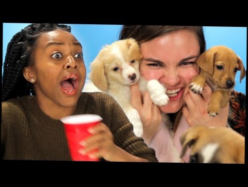 Drunk Girls Get Surprised With Puppies 