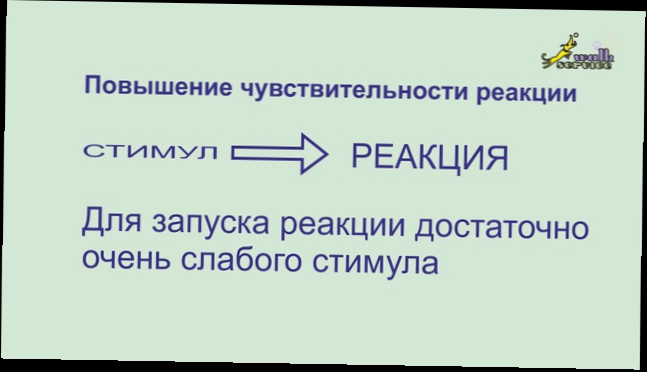 Команда рядом два этапа приучения к механике 