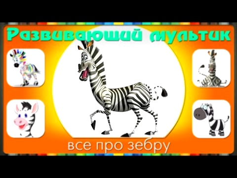 Мультики про животных. Развивающий мультфильм про ЗЕБРУ. 