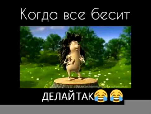 Весёлый ежик которого все бесит 