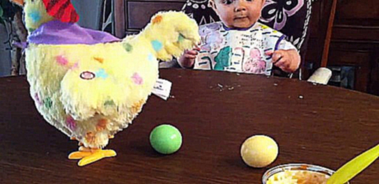  Малыш в шоке от игрушечной курицы, которая несет яйца! 