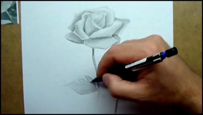 Как нарисовать розу карандашом ч.3 