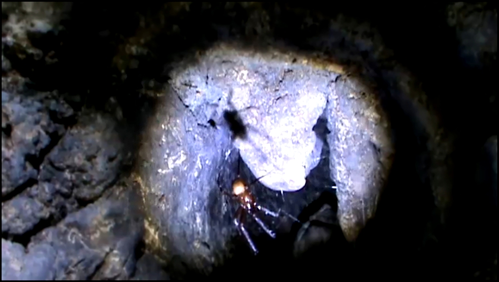 Пещера Ени-Сала 3 | Экстрим тур | Крым 
