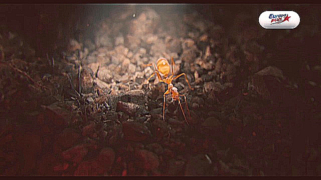 Человек-муравей - Русский трейлер HD 