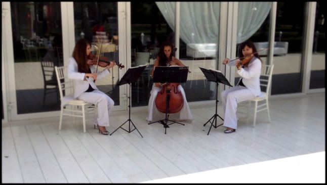 Paparazzi Lady Gaga - скрипачки и виолончелистка Violin Group DOLLS Трио 