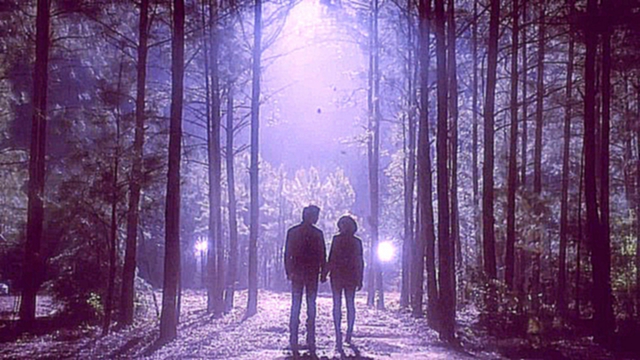 «Дневники вампира» - первое фото из шестого сезона. 