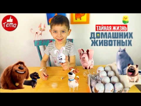 Мультик тайная жизнь домашних животных ★РАСПАКОВКА СЮРПРИЗОВ С ИГРУШКАМИ★Коробка шоколадных яиц 