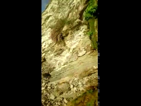 Геленджик водопад 21 апреля 2016 г. 