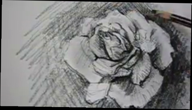 Как нарисовать розу карандашом 