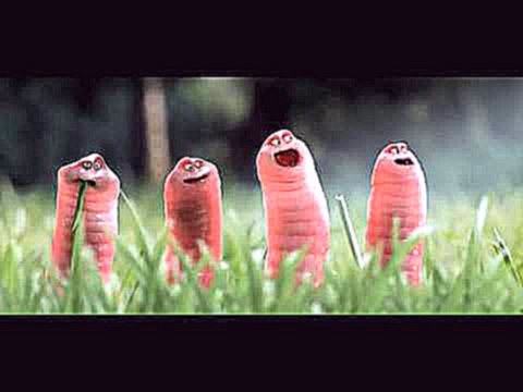 Мультик про червячков прикол короткометражка Cartoon about worms funny short film 