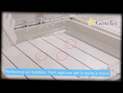 Good Idea: Instantly remove air bubbles from agarose gel 