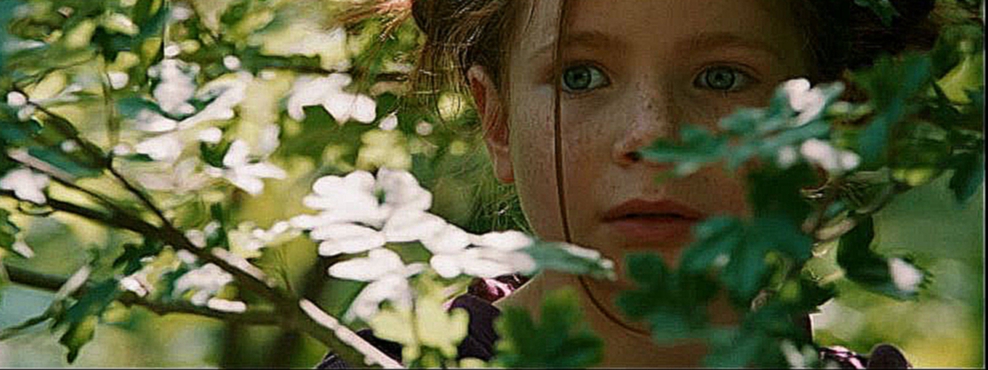 Девочка и лисёнок / Le Renard et L'enfant 2007 