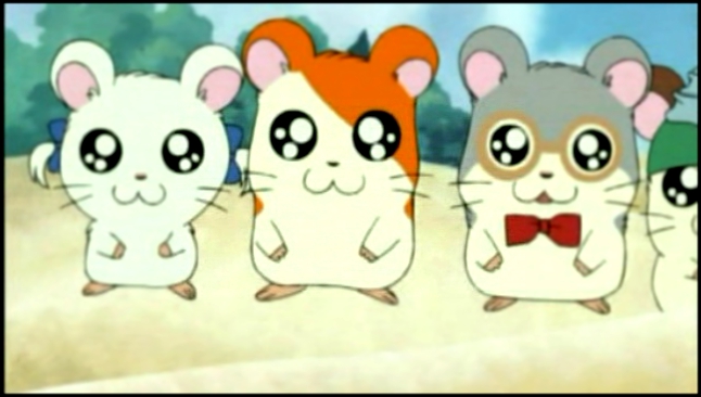 Hamtaro.1x06.Excursion.a.La.Mer. 