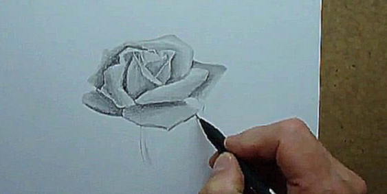 Как нарисовать розу карандашом ч.2 