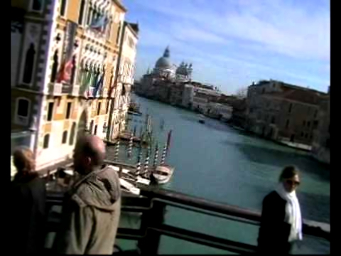 Панорама Венеции, ее каналы, соборы, башни, львы, фасады 