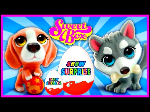 Surprise Show!!! Kinder Surprise - Sweet Box Puppy. Свит Бокс Щенята - новый мультик Киндер сюрприз! 