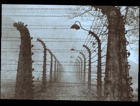 Наши пленные в немецком плену. Ужасы концлагеря Аушвиц, 1941 - 1945, Отечественная война, фильм 