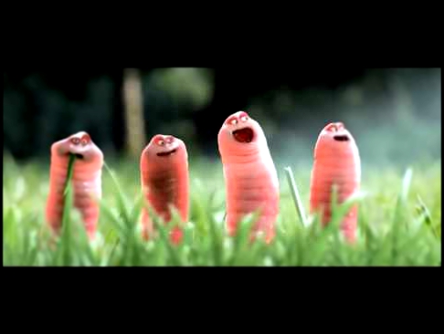 Смешная короткометражка “Мультик про червячков“ 