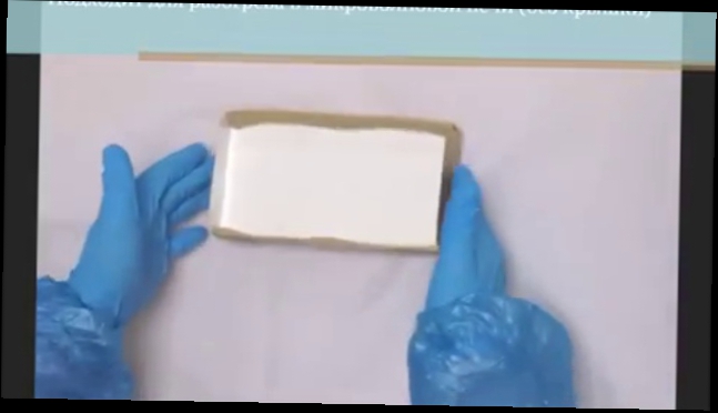 Короб с прозрачной крышкой пищевая упаковка DoECO 