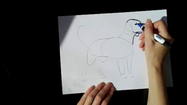 Как нарисовать собаку Бигль 