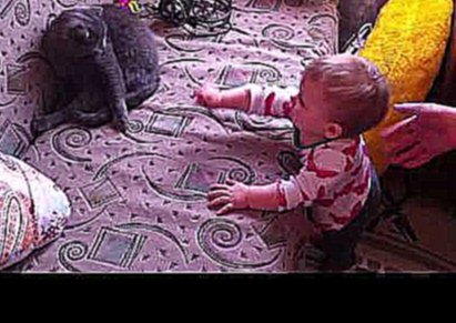 ребенок играет с котом кошкой, baby play with cat 