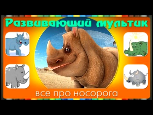 Мультики про животных. Развивающий мультфильм про НОСОРОГА. 