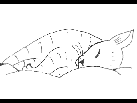 Sleeping Cat. How to draw a easy? Спящая кошка. Как нарисовать просто? 睡猫 