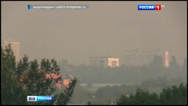 Погода в Москве: жарко и влажно 