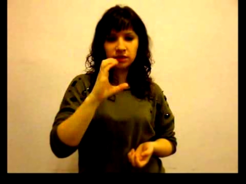 Русский жестовый язык: "Характер человека" 