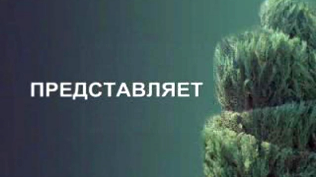 Ляпчев Владимир - мастер топиарного искусства. Мастер-класс по topiary. Тольятти 2009				 