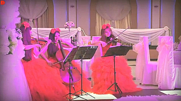 Свадебные музыканты - скрипачки и виолончелистка Violin Group DOLLS 