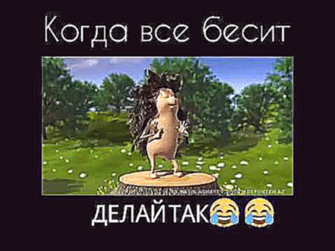 Когда всё бесит делай так :-) :-) 