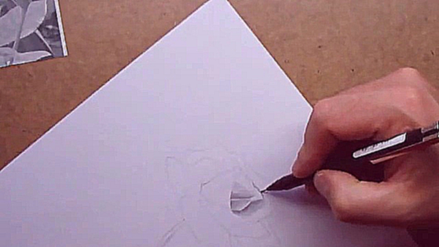 Как нарисовать розу карандашом ч.1 