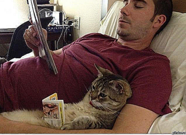 Изображение Смешное из сети #2 Парень с котом