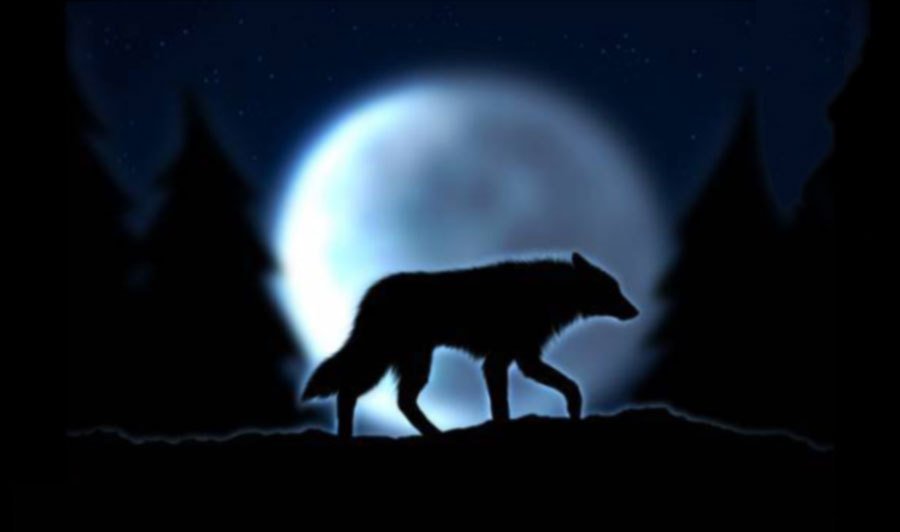 Петлюра - Старый волк