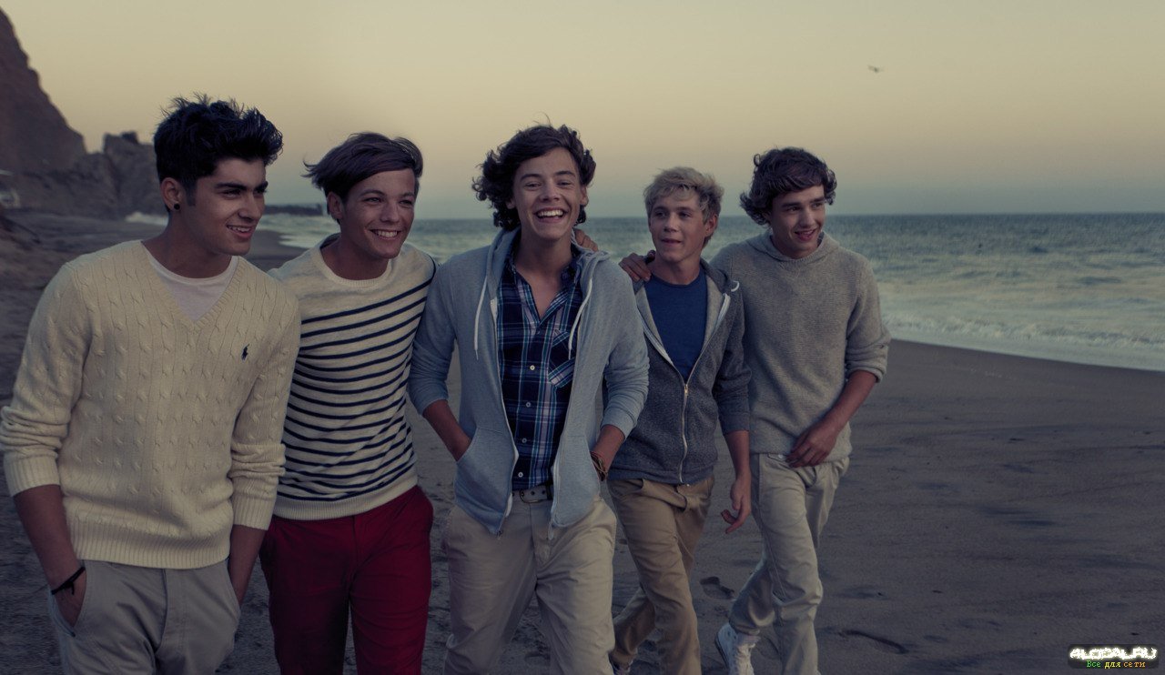 1D - What Makes You Beautiful