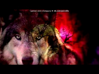 «Волк-одиночка» под музыку Мурат Тхагалегов - Волки умирают в одиночку (New 2012). Picrolla 