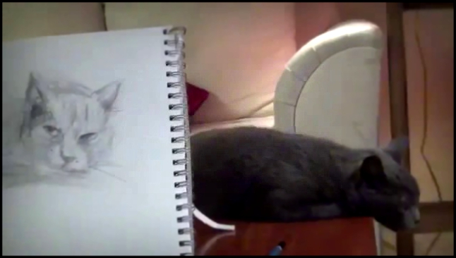 Как нарисовать кота 