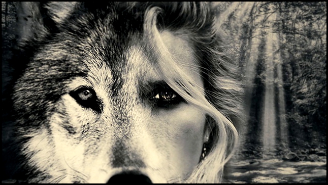 Агни де Рока ϟ – Одиноким волком  
