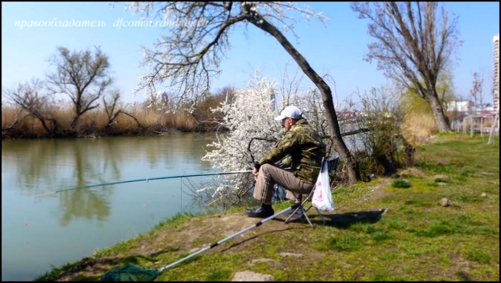 Рыбная ловля в реке Кубань на "Солнечном Острове".  Видео о местах рыбалки и отдыха горожан. 