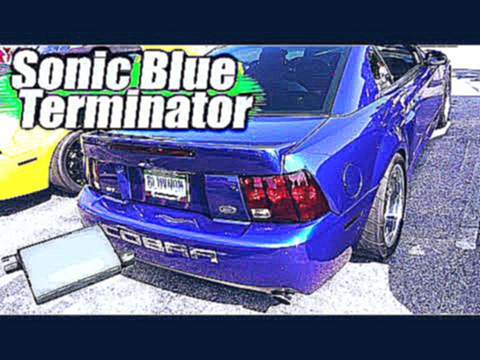 EXHAUST ▶ Sonic Blue Terminator w/ X-pipe and Stingers 