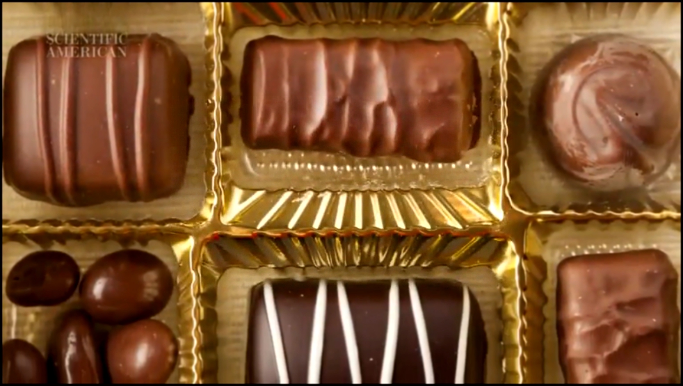 Почему мы любим шоколад? 