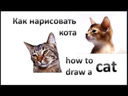 Как нарисовать кота, #draw, how to draw a cat 