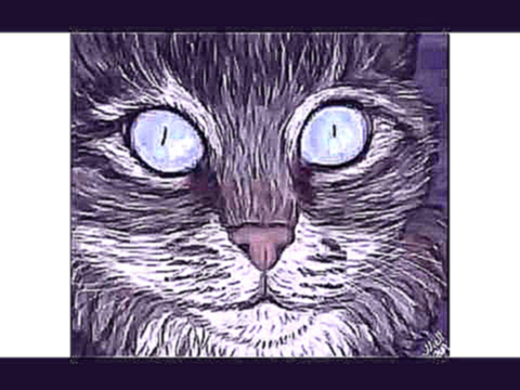 Задача: нарисовать удивленного кота draw surprised cat 