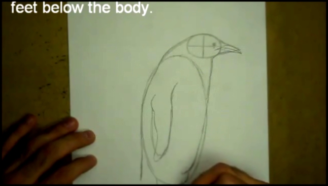 Как научиться рисовать пингвинов 