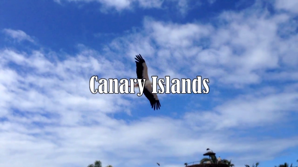 Canary Islands/Жить в Кайф 2013 