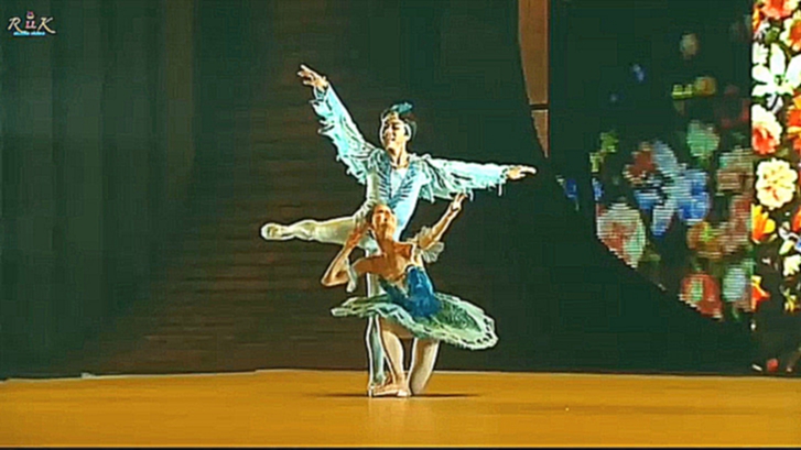 Большой Балет s2e01: Мидори Тэрада & Коя Окава па-де-де «Принцесса Флорина и Голубая птица» 